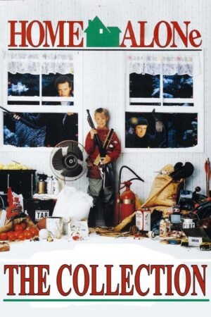 Home Alone DVD Blu-ray Collection